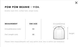 Pom Pom Beanie (Vice & Motion)