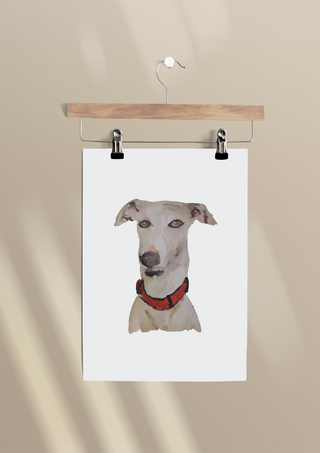 Silly Ol' Coot' A3+ Whippet Art Print
