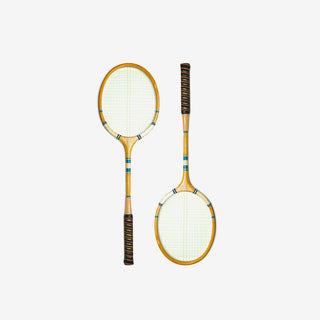 Backyard Badminton Set